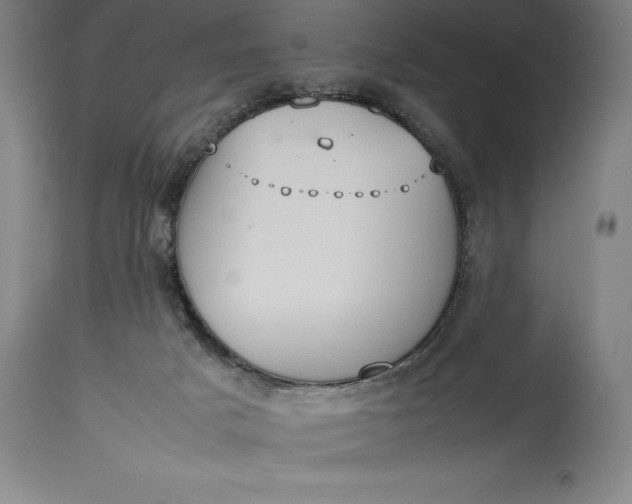 X0000115440025200911181534