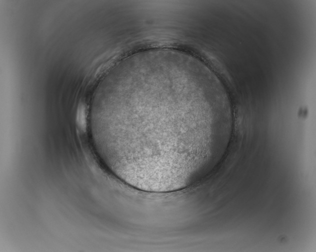 X0000115440026200911181534