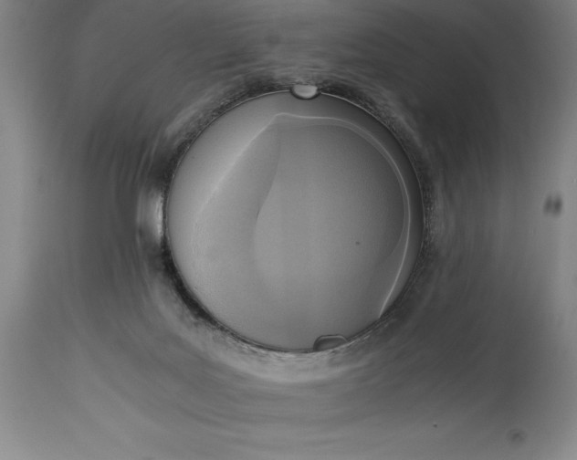 X0000115440027200911181534