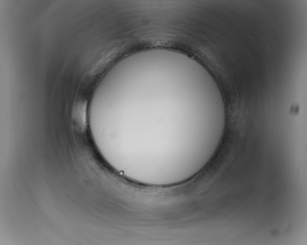 X0000115440028200911181534