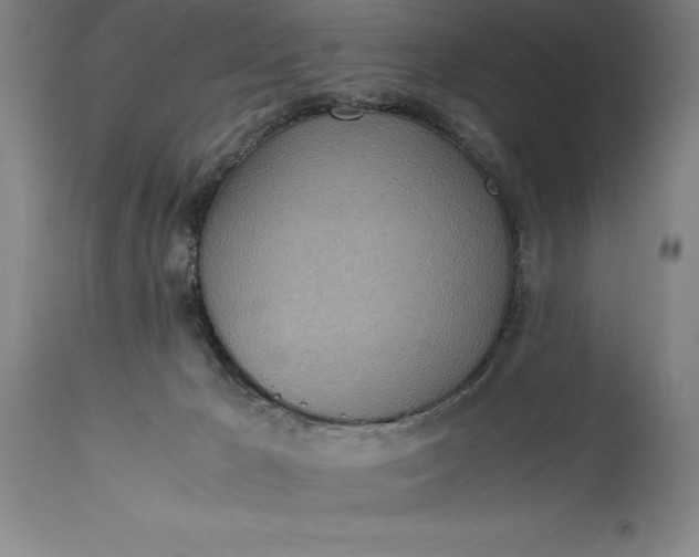 X0000115440029200911181534