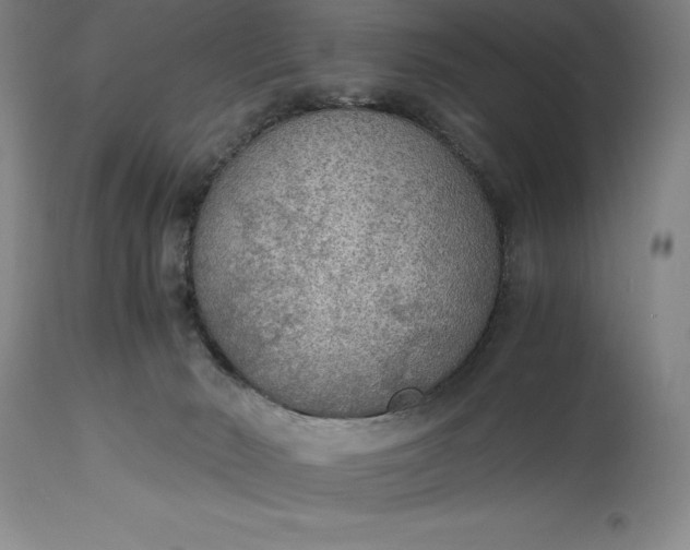 X0000115440030200911181534
