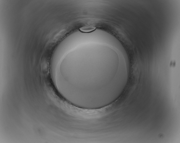 X0000115440031200911181534