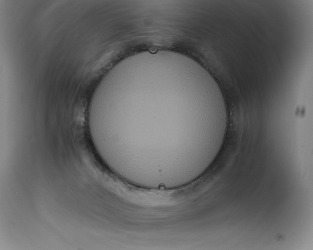X0000115440032200911181534