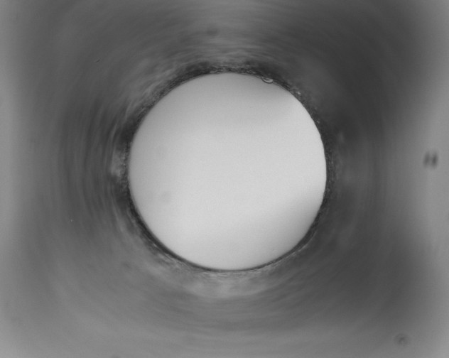 X0000115440033200911181533