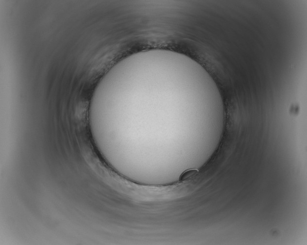 X0000115440034200911181533