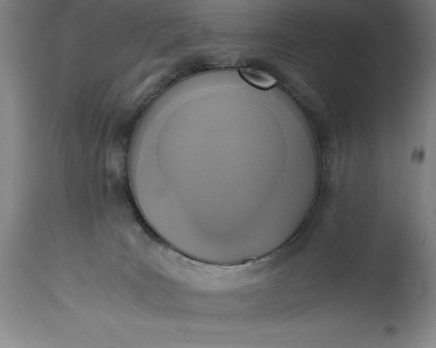 X0000115440035200911181533