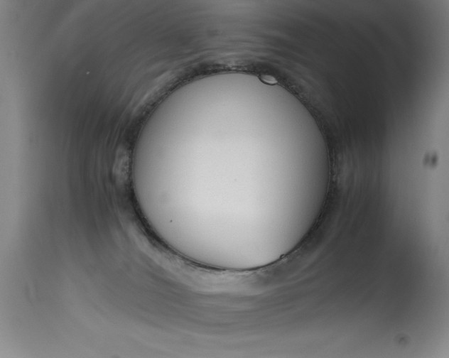 X0000115440036200911181533
