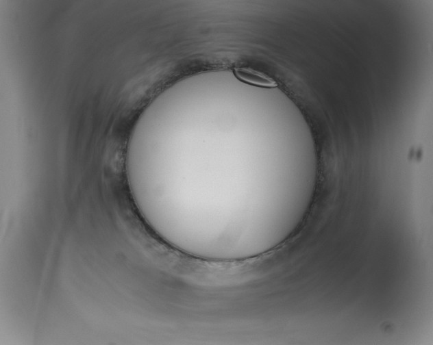 X0000115440037200911181533