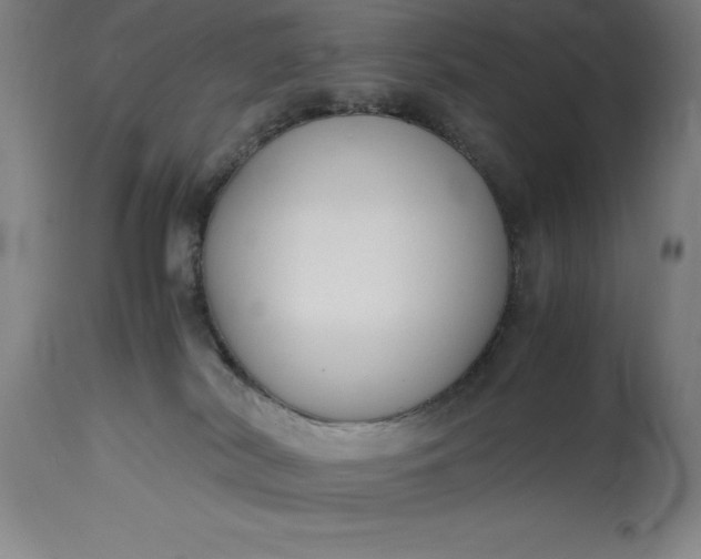 X0000115440038200911181533