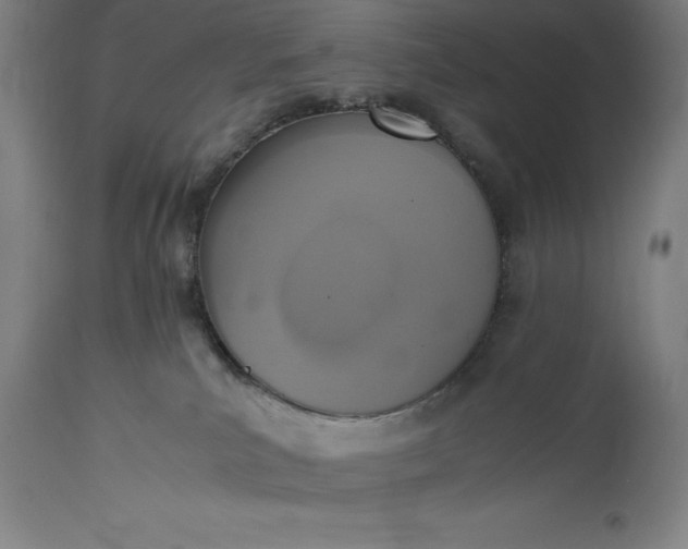 X0000115440039200911181533