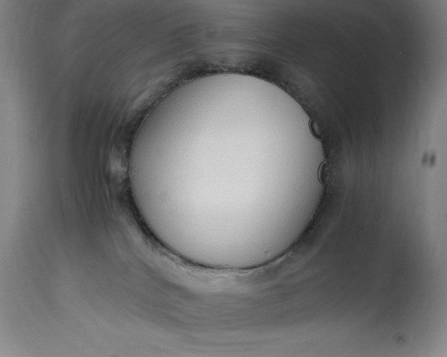 X0000115440040200911181533