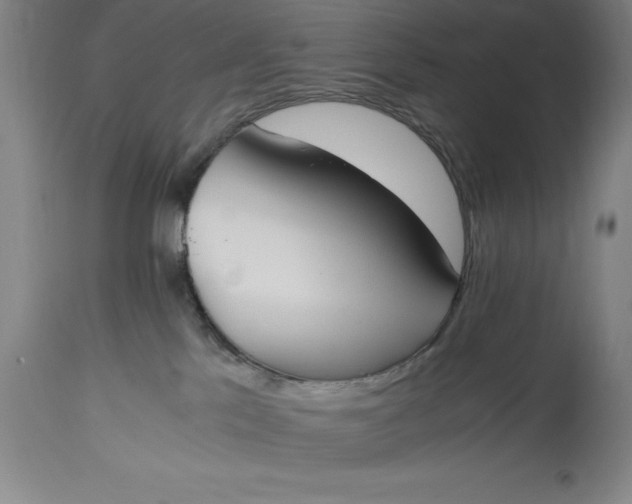 X0000115440041200911181533