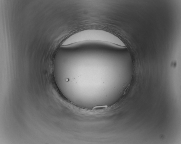 X0000115440043200911181533