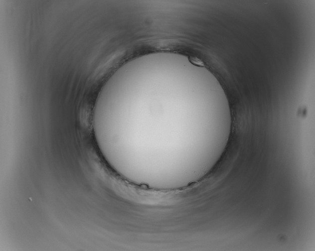 X0000115440044200911181533