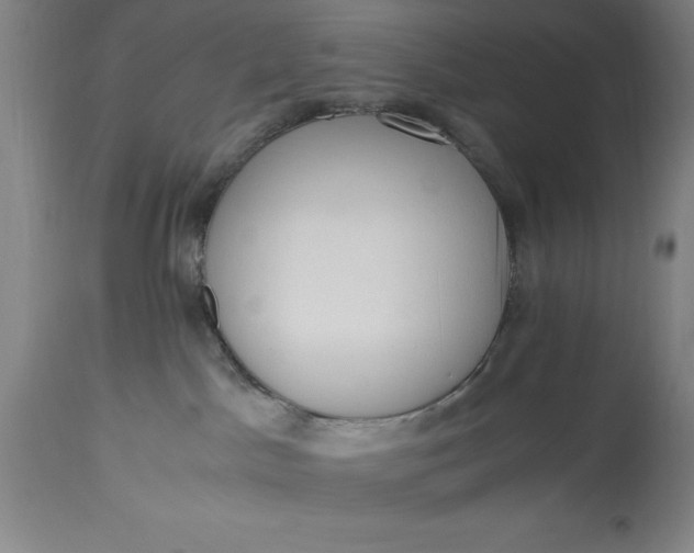 X0000115440045200911181533