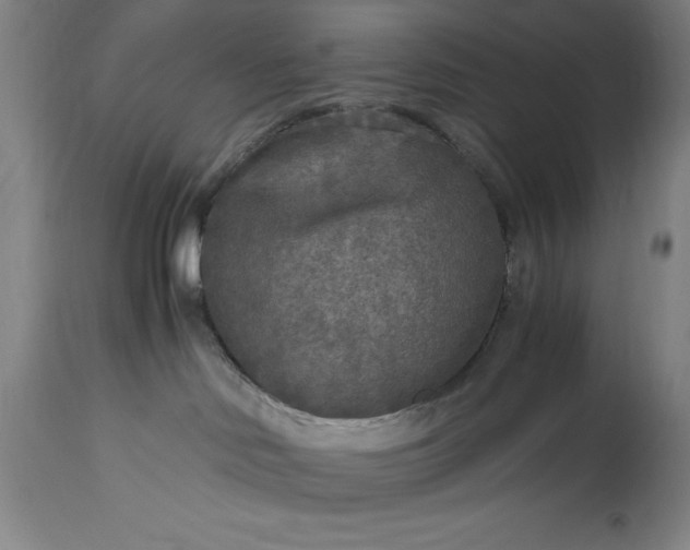 X0000115440046200911181533