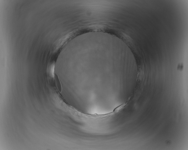 X0000115440047200911181533