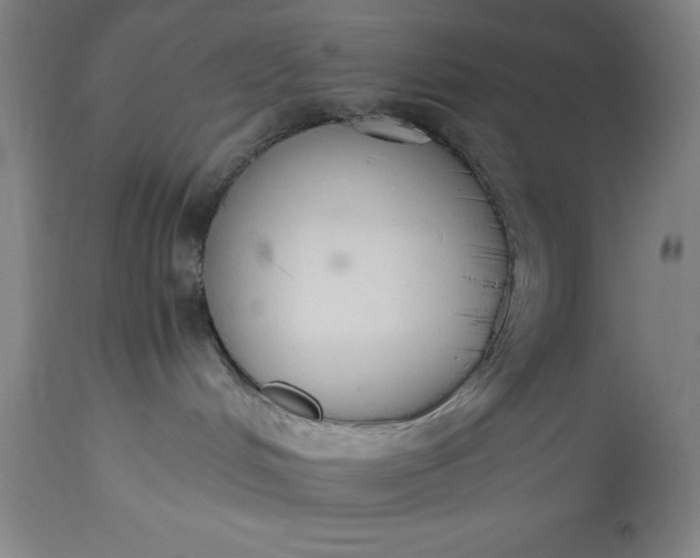 X0000115440048200911181533