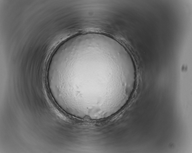 X0000115440049200911181533