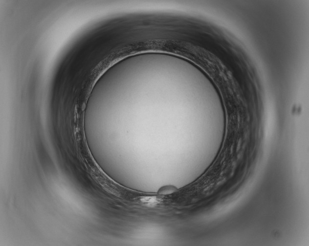 X0000115440050200911181533