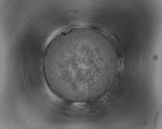 X0000115440051200911181533
