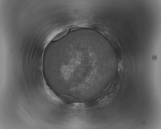 X0000115440052200911181533
