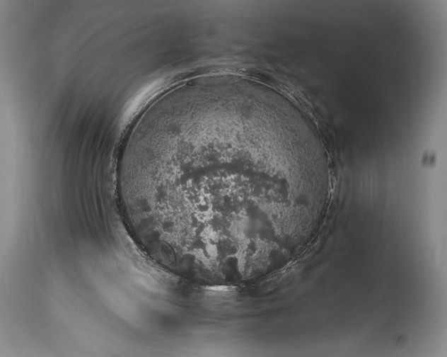 X0000115440053200911181533