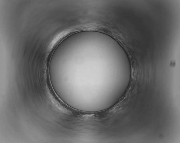 X0000115440054200911181533