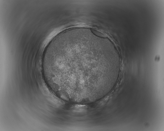 X0000115440055200911181533