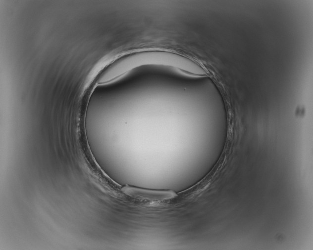 X0000115440056200911181533