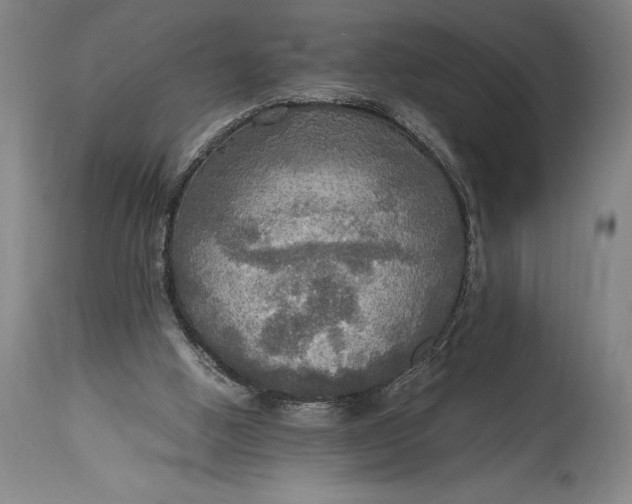 X0000115440058200911181533