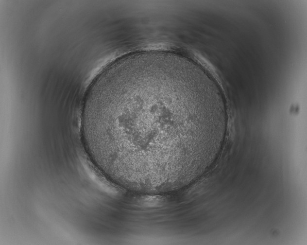 X0000115440059200911181533
