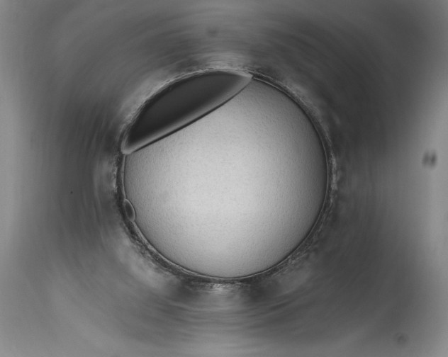 X0000115440060200911181533
