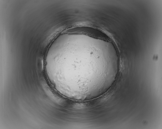 X0000115440061200911181533