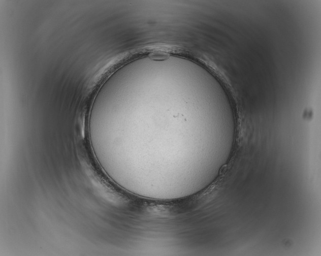 X0000115440062200911181533