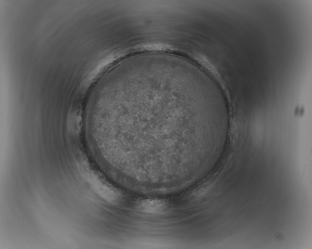 X0000115440063200911181533