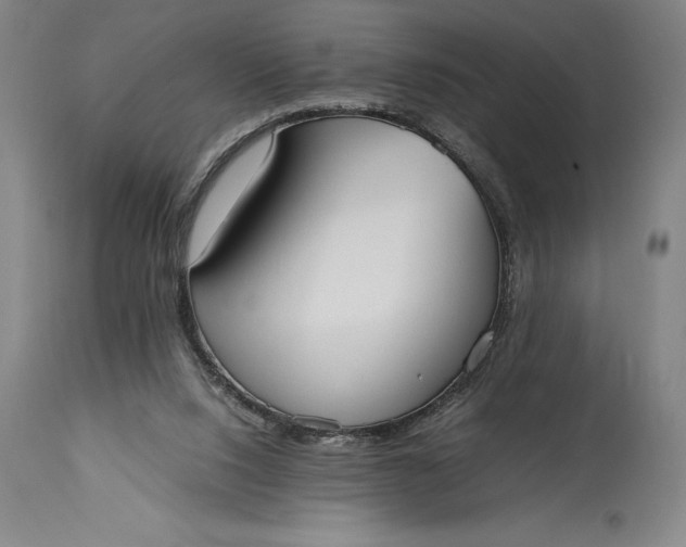 X0000115440064200911181533