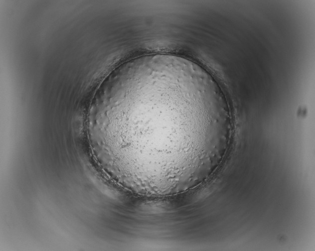 X0000115440065200911181533