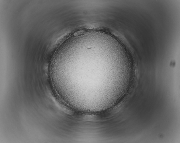 X0000115440066200911181533