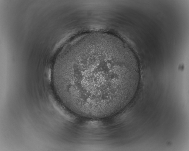 X0000115440067200911181533
