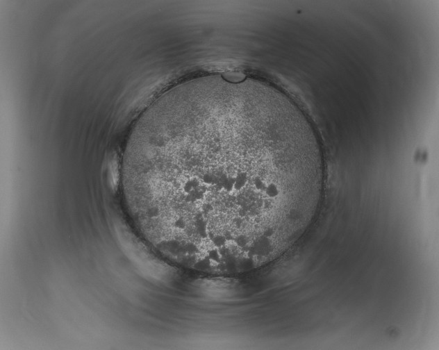 X0000115440069200911181533