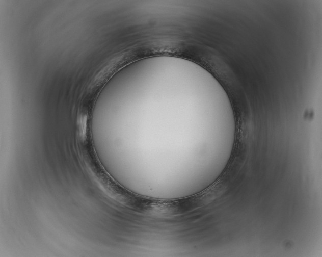 X0000115440070200911181533