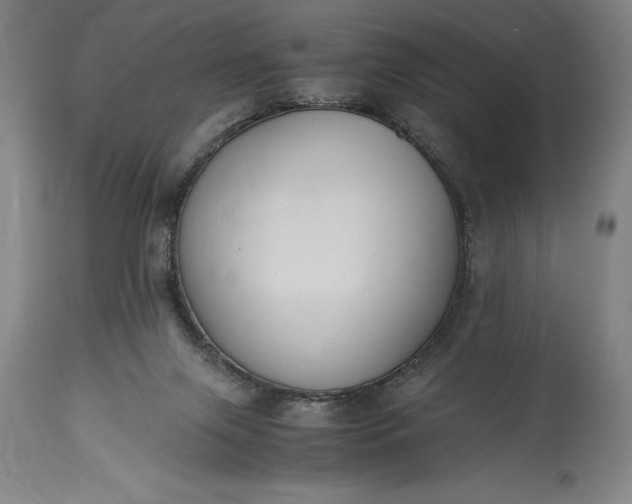 X0000115440071200911181533