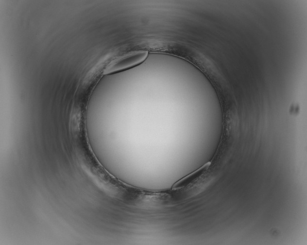 X0000115440072200911181533