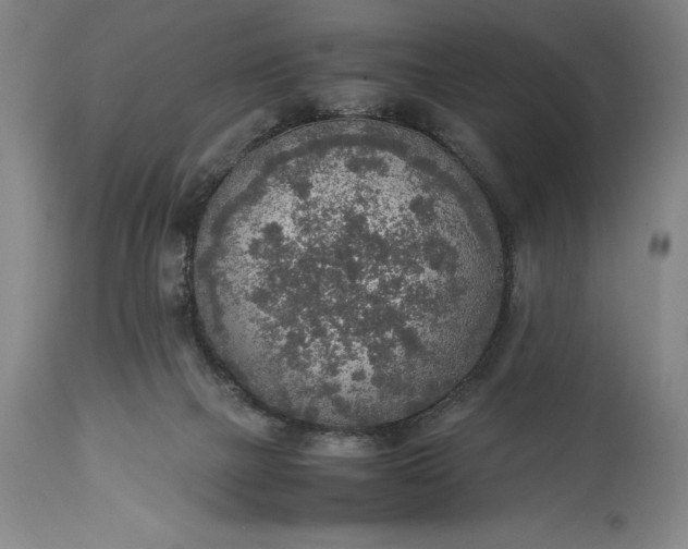 X0000115440073200911181533