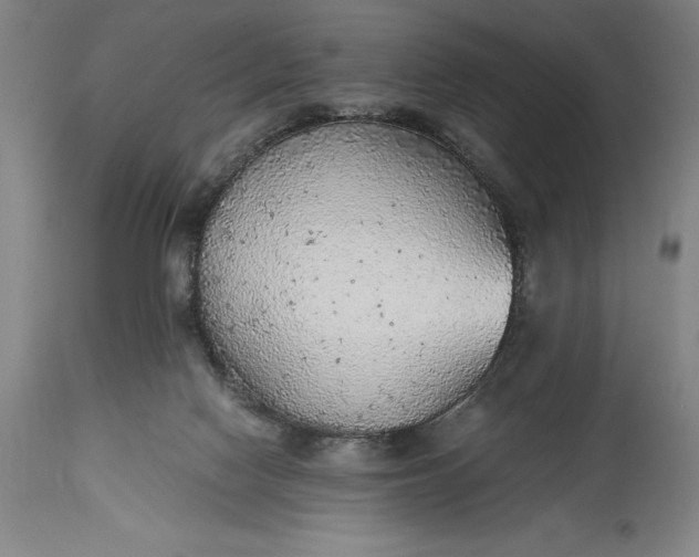 X0000115440074200911181533