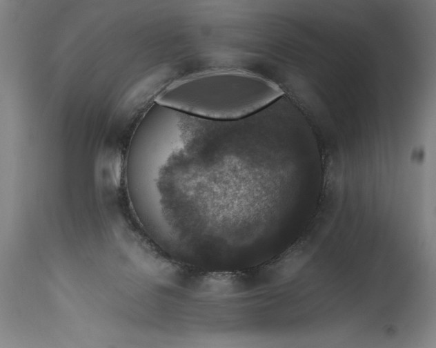 X0000115440076200911181533