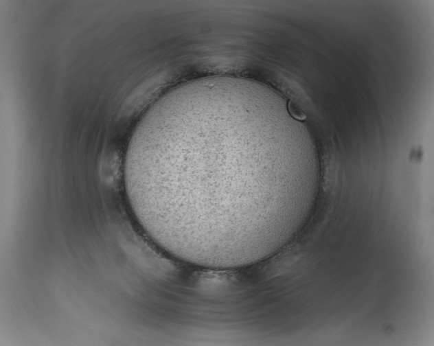 X0000115440077200911181533