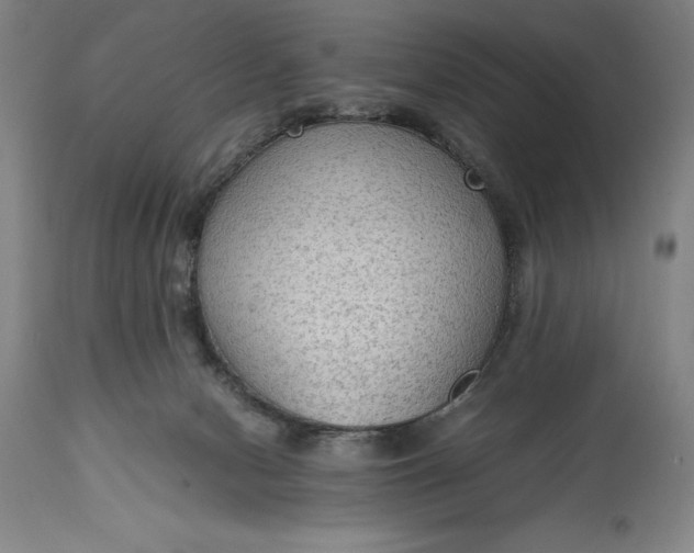 X0000115440078200911181533